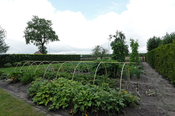 Medium property photo - Dorpsstraat 7, 9482 PA Tynaarlo